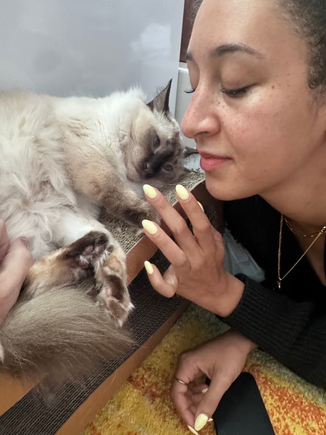 A woman gently touches noses with a fluffy cat while smiling, creating a tender moment