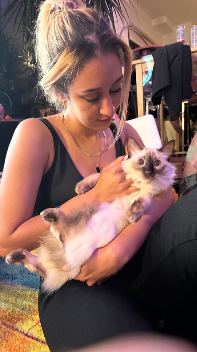 A woman holding a fluffy cat in her arms, sitting on the floor in a cozy indoor setting